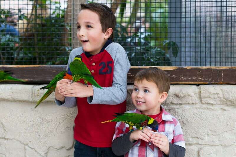 Niagara Falls, Canada: Bird Kingdom Entry Ticket - Lorikeet Landing and the extra feeding cost