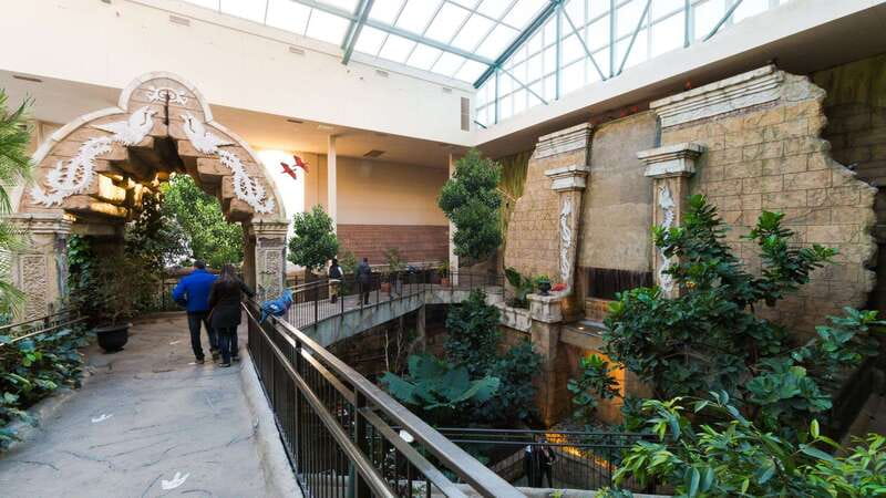 Niagara Falls, Canada: Bird Kingdom Entry Ticket - The Night Jungle and smaller animals