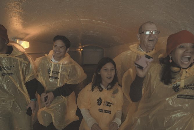 Niagara Falls Canada Day + Night Small Group Tour w/Falls Dinner - Niagara City Cruises brings the classic spray