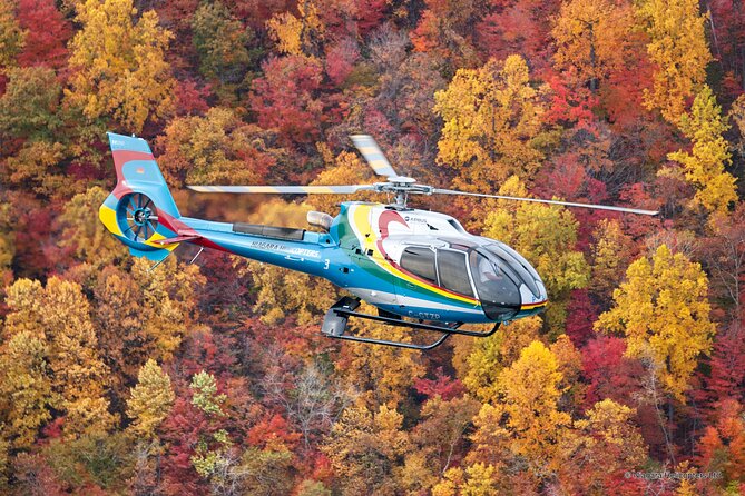 Niagara Falls Canada Helicopter Tour - Whirlpool Rapids, bridges, and hydroelectric stations