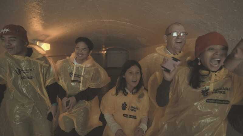 Niagara Falls: Day & Night Tour with Boat Ride and Dinner - Timing, pickup, and practical planning