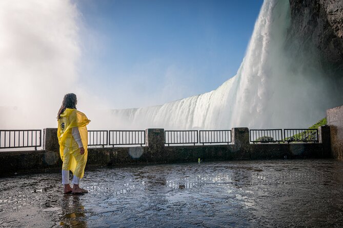 Niagara Falls Day Tour from Toronto and Skip the Line Boat Cruise - The Hornblower ride is the real event
