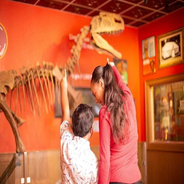 Niagara Falls: Ripley's Believe It or Not! Museum Entry - Is $24 a fair price?