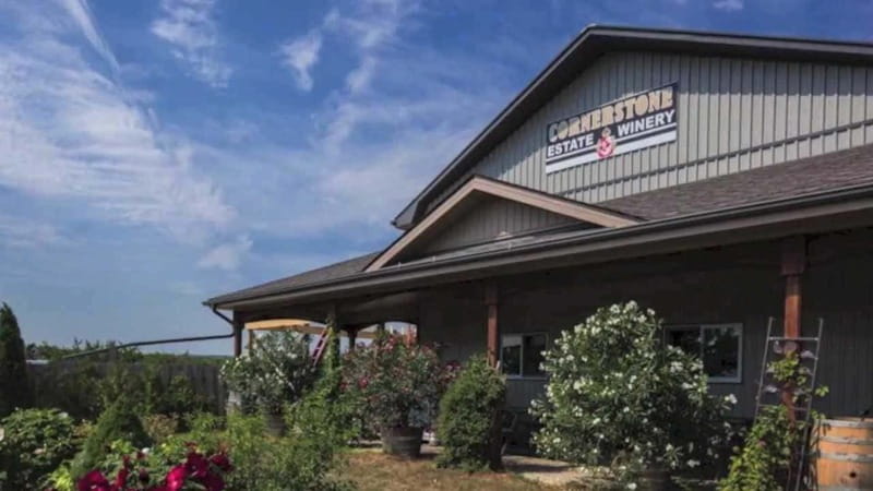 Niagara Falls: Winter Niagara Wine Tour with Transportation - Key points to know before booking