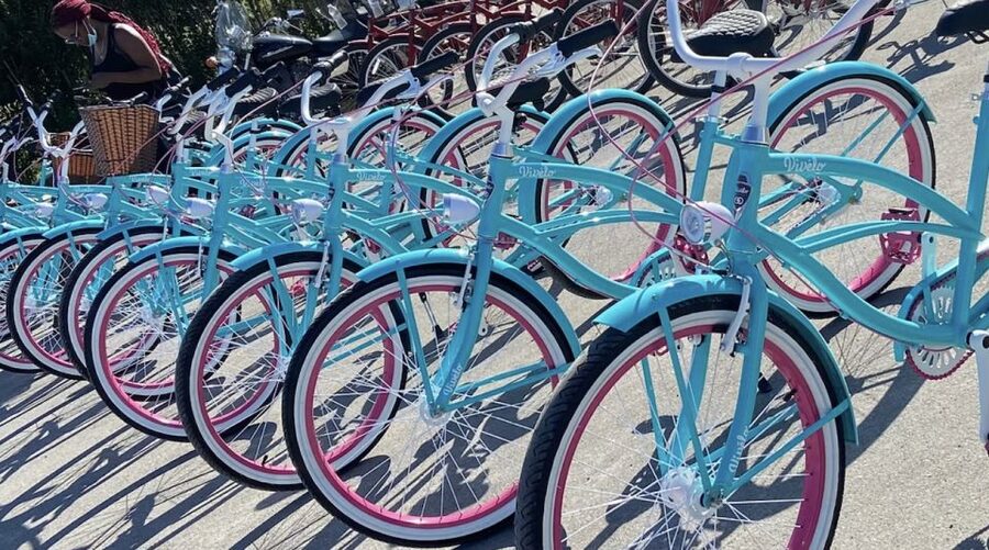 Niagara-on-the-Lake: Bicycle Tour with Wine Tasting - Practical ways to enjoy the day