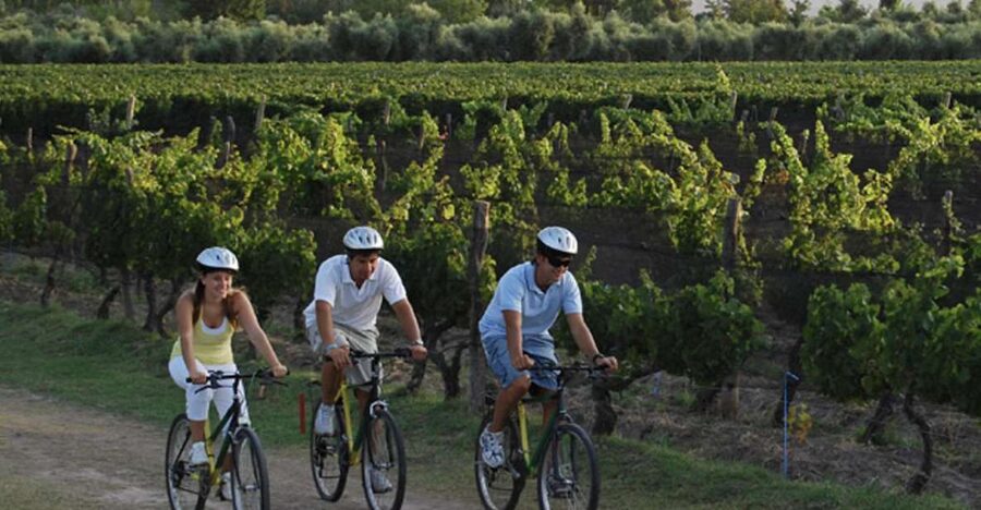 Niagara-on-the-Lake: Bicycle Tour with Wine Tasting - Why cycling suits Niagara-on-the-Lake wine country