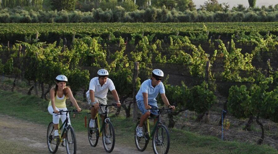 Niagara-on-the-Lake: Bicycle Tour with Wine Tasting - Starting from Niagara Falls or Niagara-on-the-Lake
