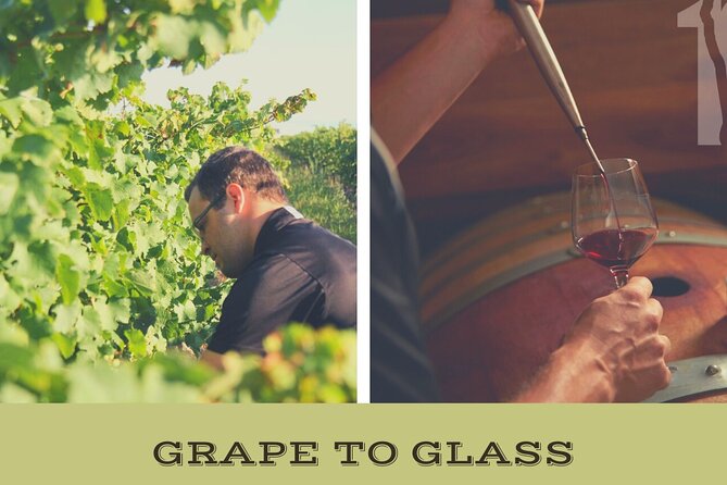 Niagara-on-the-Lake Grape to Glass Wine Experience - A focused visit at Between the Lines Winery