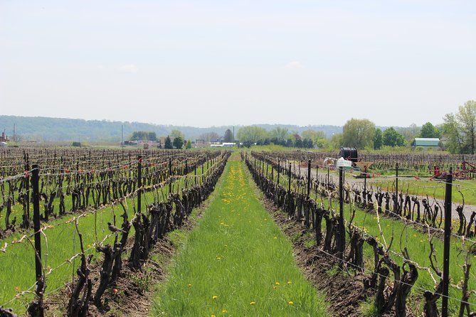 Niagara-on-the-Lake Grape to Glass Wine Experience - Who will enjoy this wine experience most