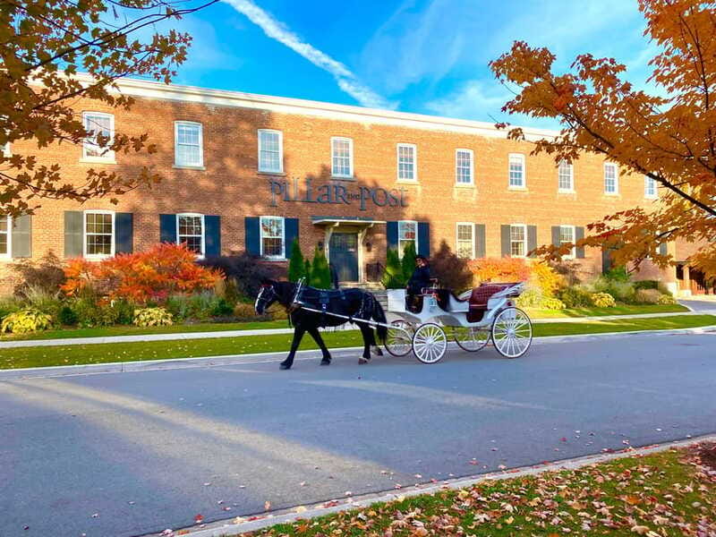 Niagara-on-the-Lake: Guided Walking Tour - What the guides add to the experience