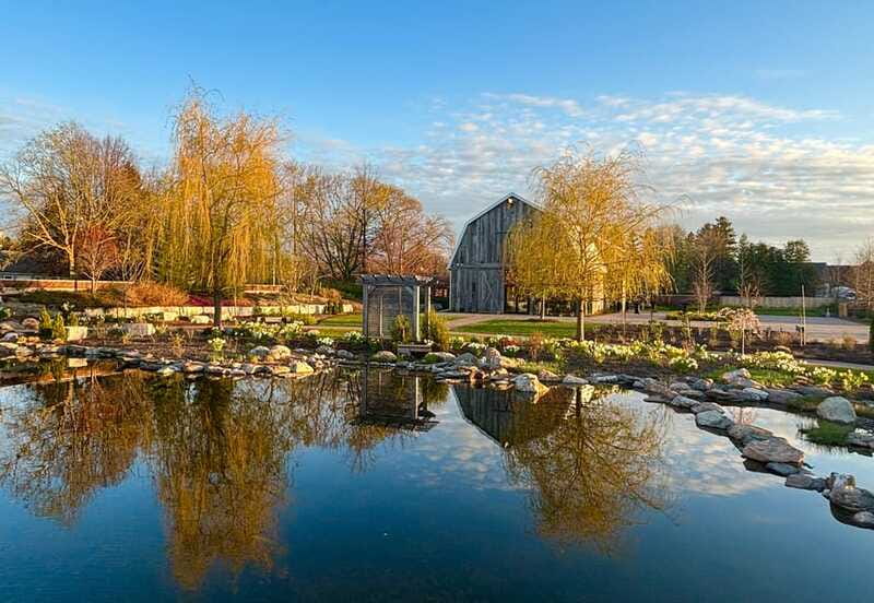 Niagara-on-the-Lake: Guided Walking Tour - Practical tips before you go