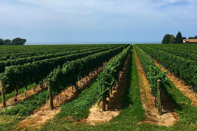Niagara-On-The-Lake Guided Wine and Charcuterie Full-Day Tour - Old Town’s 75-minute pause