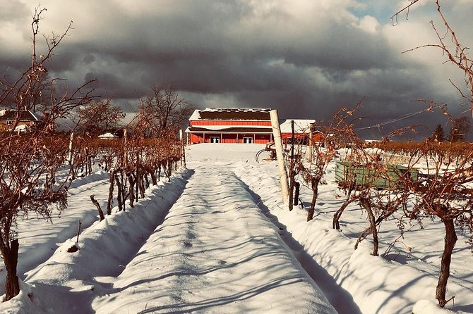 Niagara's Decadent Sparkling and Icewine Tasting - What the 45-minute schedule feels like
