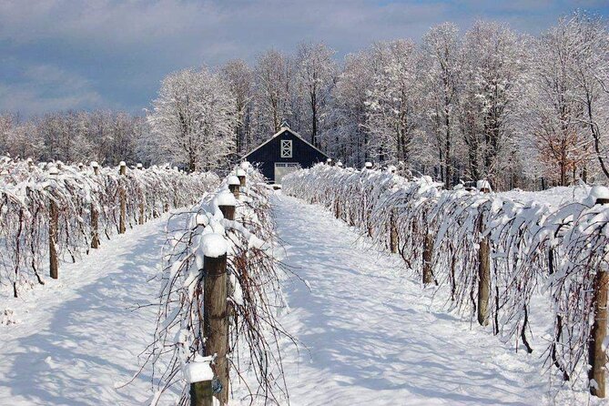 Niagara Wine Tour and Tastings with Transportation - Reif Estate Winery along the Niagara Parkway