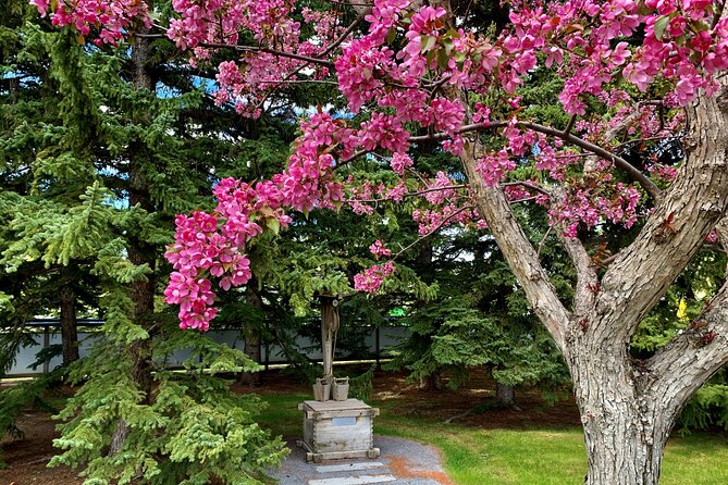 Nikka Yuko Admission (Adults & Children) - Tea Pavilion, exhibits, and cultural programming