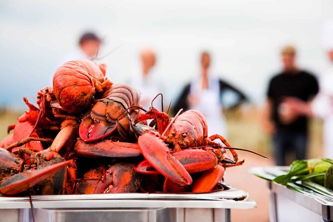 North Shore Tour of Prince Edward Island In Luxury - North Rustico Harbour and the catch of the day