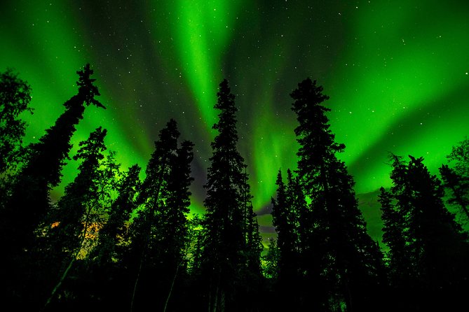 Northern Lights Tours - Leaving Yellowknife after dark