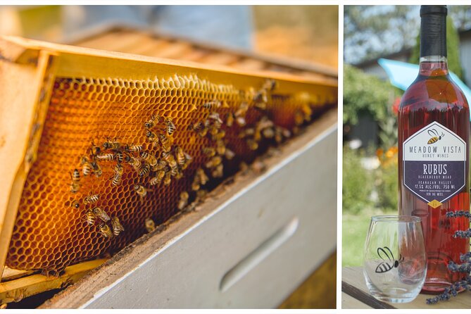 Okanagan Bee Tour and Lunch at Winery in Kelowna - Key points at a glance