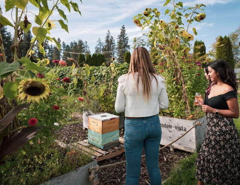 Okanagan Bee Tour, Wine Tasting and Lunch at Kelowna Winery - Time for lawn games and a slower finish