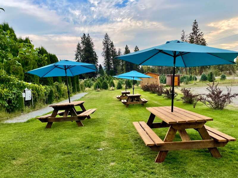 Okanagan Bee Tour, Wine Tasting and Lunch at Kelowna Winery - Practical details that affect your day