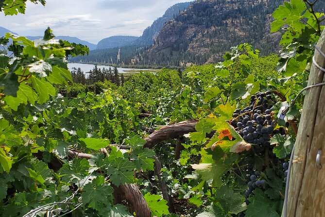 Okanagan Falls Private Wine Tour - Full Day - A private ride with useful flexibility