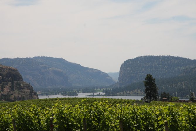 Okanagan Falls Private Wine Tour - Full Day - Noble Ridge Vineyard and Winery: the view south to Vaseux Lake