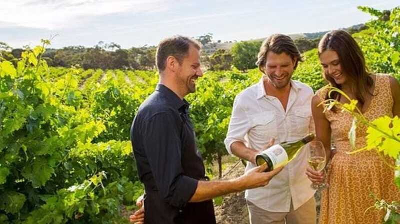 Ontario: Afternoon Wine Tour and Cheese Pairing - The middle stop and Niagara wine country