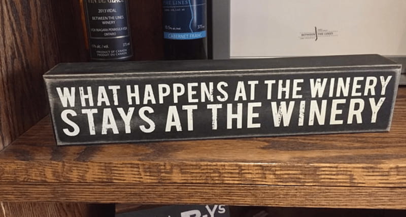 Ontario: Afternoon Wine Tour and Cheese Pairing - Is $115 a fair price?