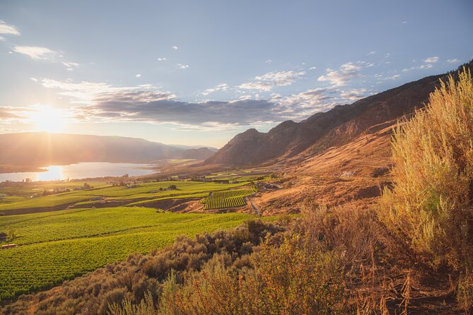 Osoyoos Half Day Wine Tour (Incl. Tasting Fees & Guide Gratuity!) - Why this half-day Osoyoos tour works well