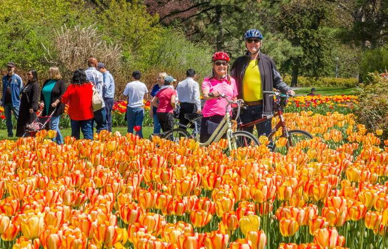 Ottawa: 2 or 3.5-Hour Guided Bike Tour with a Local Guide - Key points to know before you book