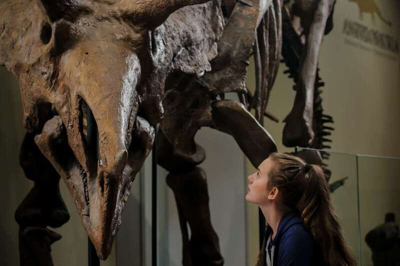 Ottawa: Canadian Museum of Nature Admission - Arctic Canada through touch and sound