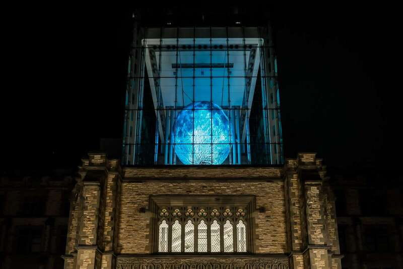 Ottawa: Canadian Museum of Nature Admission - Canadian mammals, birds, minerals, and living creatures