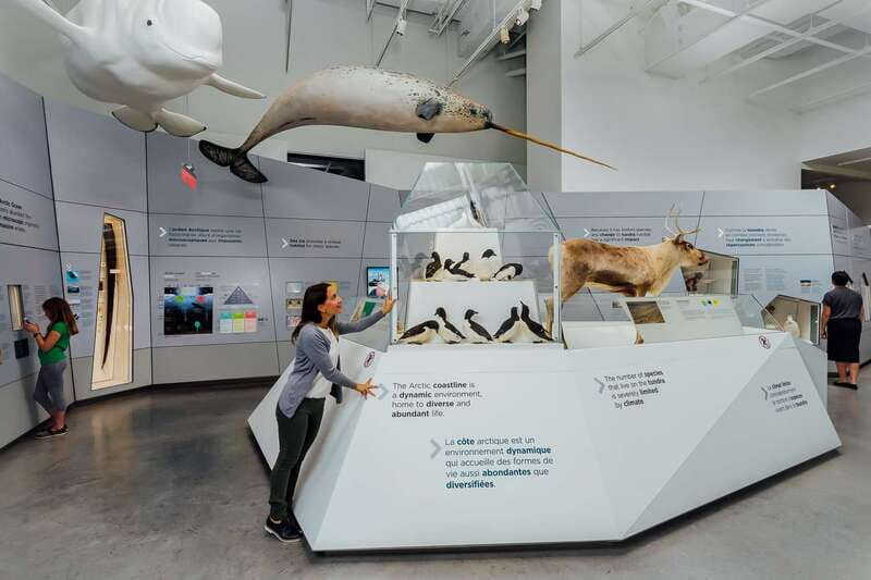 Ottawa: Canadian Museum of Nature Admission - Start with the permanent galleries