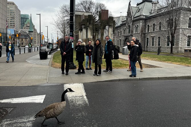 Ottawa City Highlights 3 Hour Walking Tour | Gratuity-Based - Major’s Hill Park and the river views