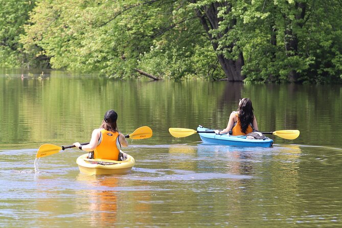 Ottawa: Ecological Reserve Kayak Tour with Turtle Sightings - Key points to know before you paddle