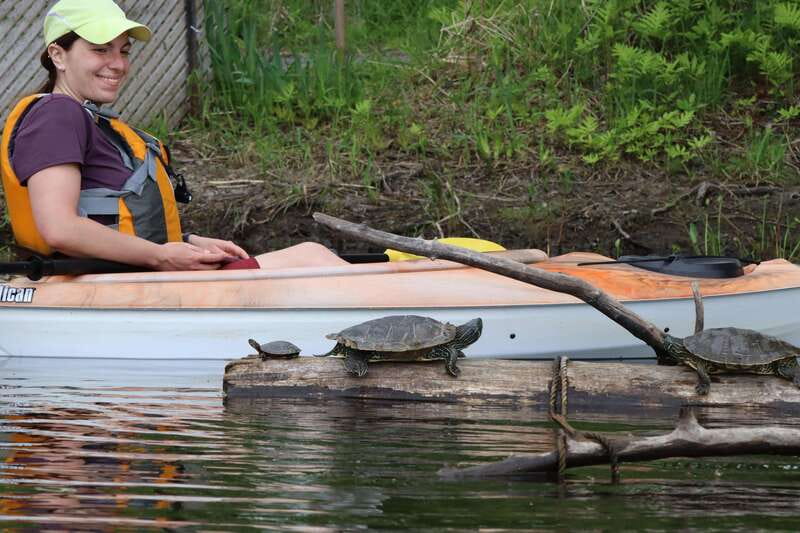 Ottawa: Ecological Reserve Kayak Tour with Turtle Sightings - Who should book this paddle?