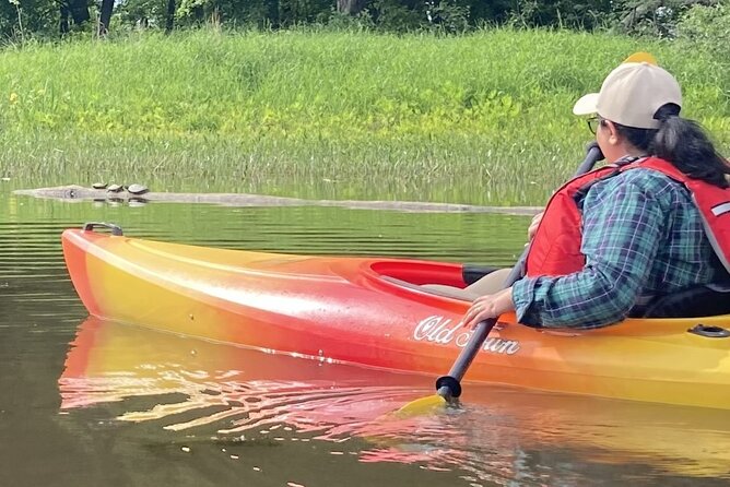 Ottawa: Ecological Reserve Kayak Tour with Turtle Sightings - Looking for turtles and other wildlife