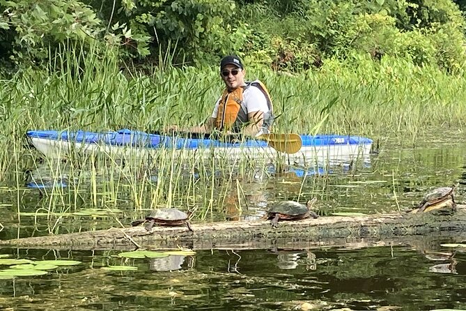 Ottawa: Ecological Reserve Kayak Tour with Turtle Sightings - What the bilingual guide adds