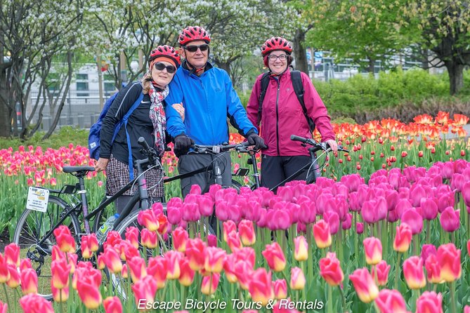 Ottawa Highlights 3.5 Hour Bike Tour - Hog’s Back Falls, the Arboretum, and the farm