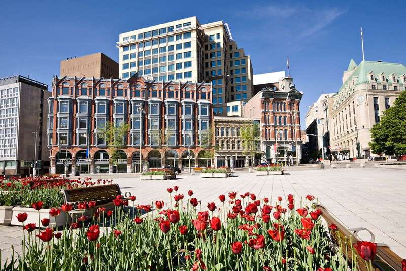 Ottawa: Hop-On Hop-Off Guided City Tour Pass - Timing, waits, and a sensible touring plan