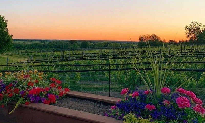 Ottawa: Local Wine and Cider Tour - A note about changing stops and meals