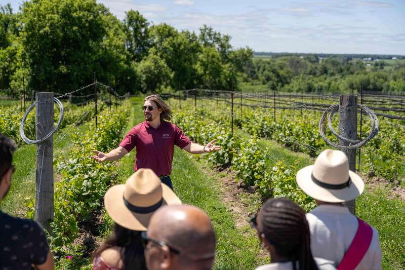 Ottawa: Local Wine and Cider Tour - What the $130 price really buys