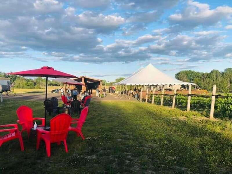 Ottawa: Local Wine and Cider Tour - Who should book this experience