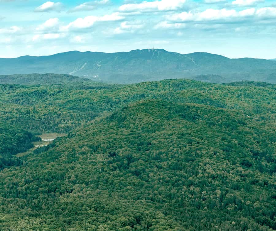 Ottawa: Panoramic helicopter flight (Gatineau Park + downtown) - What the reviews tell me about the actual experience