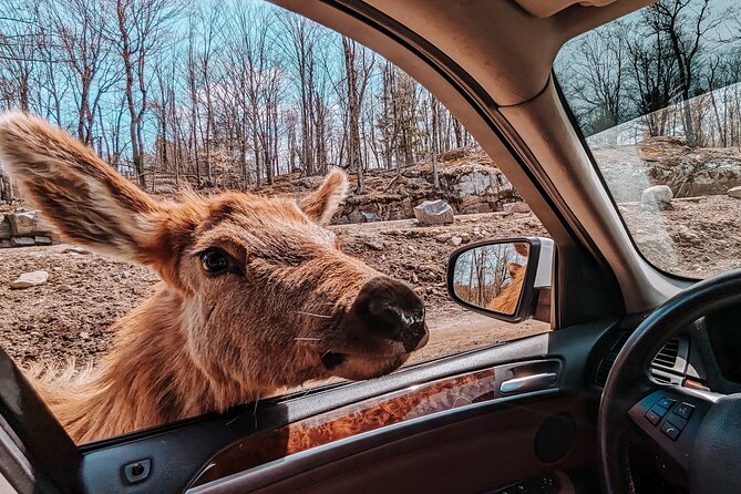 Ottawa Parc Omega Private Tour with Hotel Transfer - Key points to know before you book
