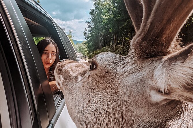 Ottawa Parc Omega Private Tour with Hotel Transfer - Three hours among Canadian wildlife