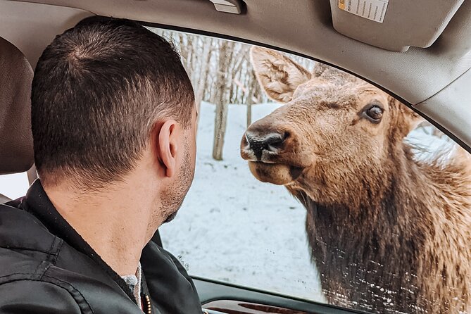 Ottawa Parc Omega Private Tour with Hotel Transfer - Why a private tour can be worth $253.67