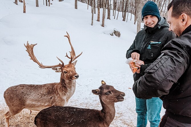 Ottawa Parc Omega Private Tour with Hotel Transfer - The guide makes the difference