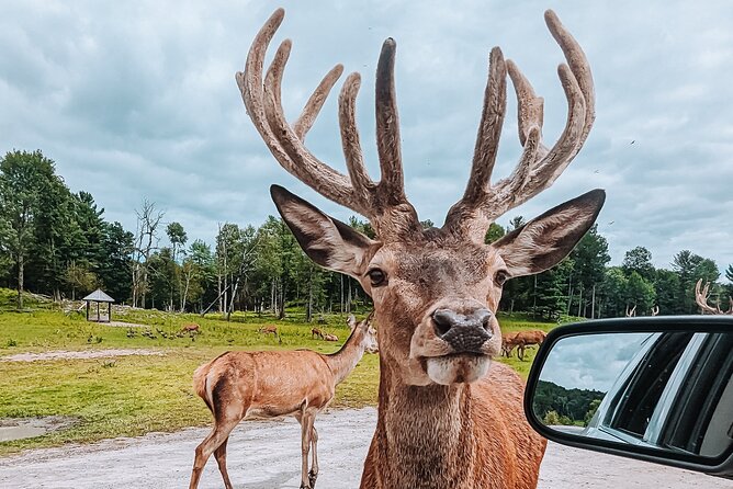 Ottawa Parc Omega Private Tour with Hotel Transfer - Who should choose this Ottawa day trip