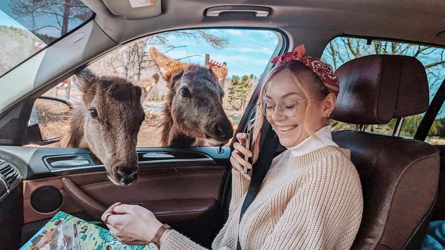 Ottawa: Private Parc Omega Wildlife Safari – Winter Magic - Drop-Off in Ottawa or Montreal
